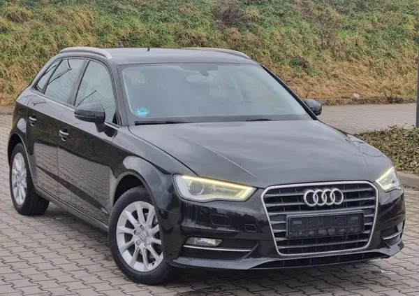 samochody osobowe Audi A3 cena 41900 przebieg: 240800, rok produkcji 2013 z Żary